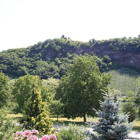 Hermes Winery