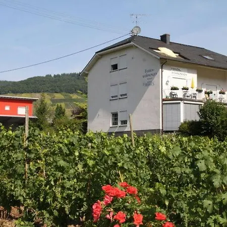 Hermes Winery *
